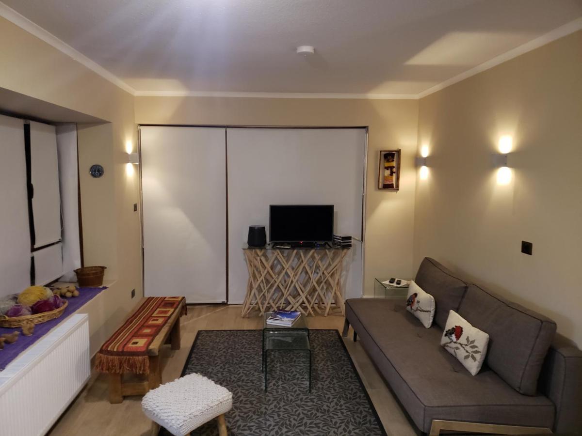 Valle Nevado Vip Apartment Ski Out-In Екстер'єр фото